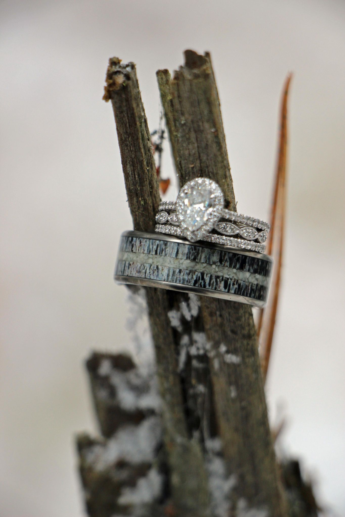 TheColorado - Tree Display - Men's Antler Wedding Rings