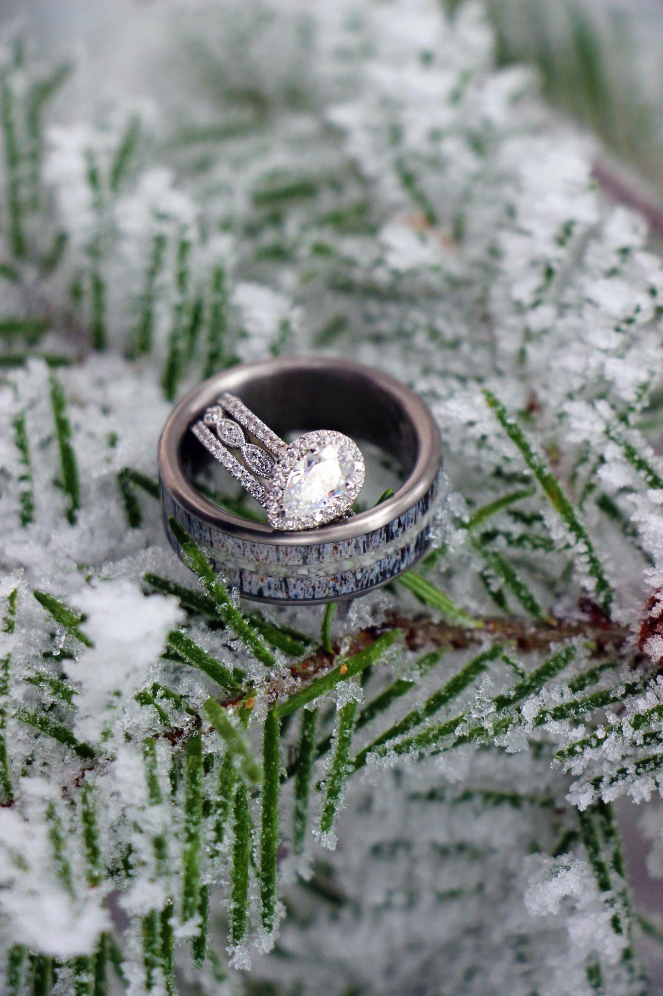 TheColorado - Snow Display - Men's Antler Wedding Rings