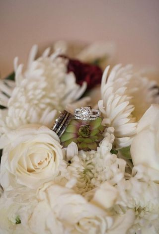 TheNorthAmericanPro-Staff - Wedding Display - Men's Antler Wedding Rings