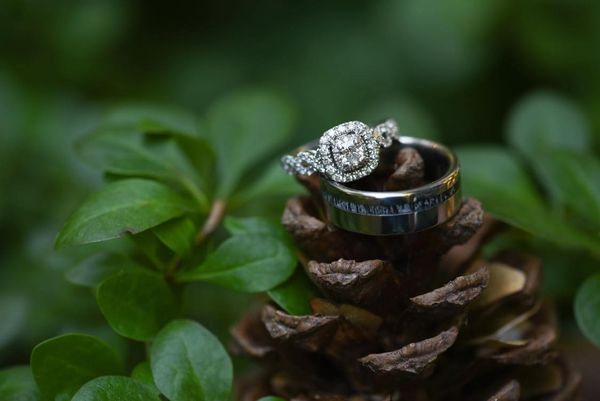 TheRoughneck - Pinecone Display - Men's Antler Wedding Rings