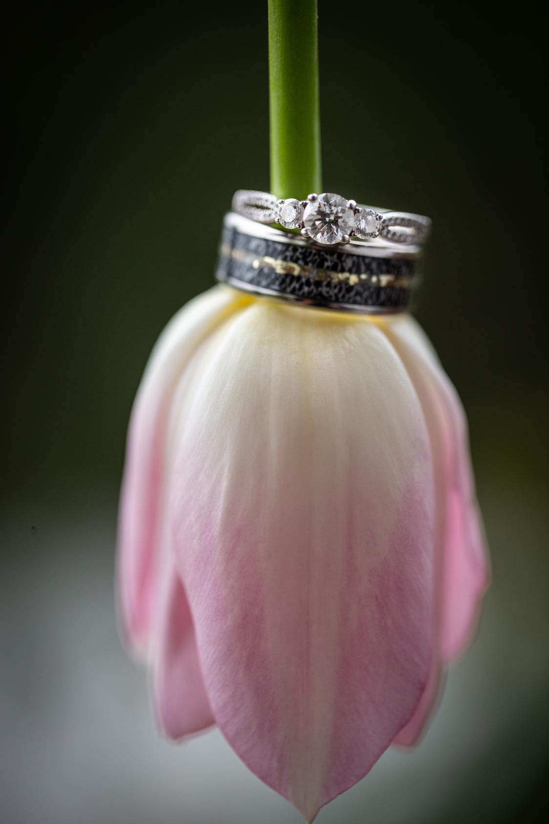 TheSavageOutdoorsman - Flower View - Men's Antler Wedding Rings